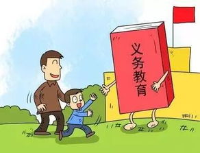 濰坊發布2017年城區義務教育招生政策，教育咨詢服務同步啟動