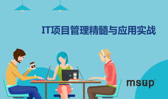 msup 軟件研發(fā)管理培訓與咨詢服務 賦能團隊，驅動卓越