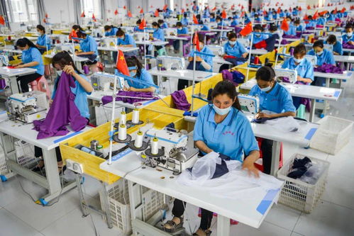早間教育資訊 2020年9月18日教育咨詢服務動態(tài)觀察