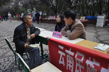 黨員服務進社區(qū)，教育咨詢暖人心——記云南民族中學黨員教育咨詢服務活動